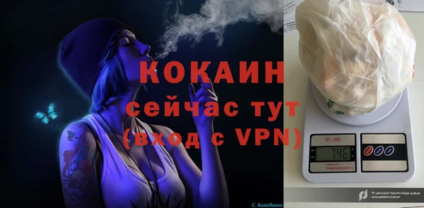 гидра Белоозёрский