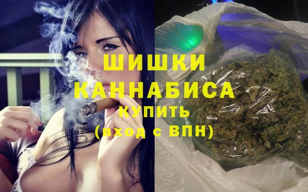 гидропоника Белокуриха