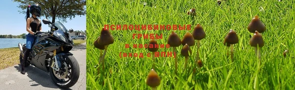 герыч Снежинск