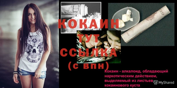 гидра Белоозёрский
